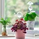 thumbnail image 4 of Bolas de riego para plantas, bolas de autorriego, bombillas de riego de plantas de vidrio transparente soplado a mano para uso interior y exterior, 2 hongos, 4 of 5