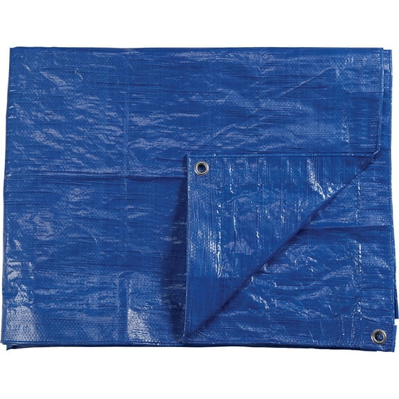 Roughneck 2.2-Oz. Medium-Duty Tarp, Blue, 6ft. x 8ft.
