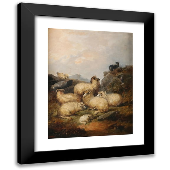 Alfred Morris 12x14 Black Modern Framed Museum Art Print Titled - A Flock of Sheep in the Scottish Highlands (1881)