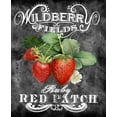 thumbnail image 2 of Art Licensing Studio 12x14 White Modern Wood Framed Museum Art Print Titled - Wildberry Fields, 2 of 4