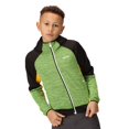 thumbnail image 5 of Regatta Boys/Girls Prenton II Hooded Soft Shell Jacket, 5 of 5