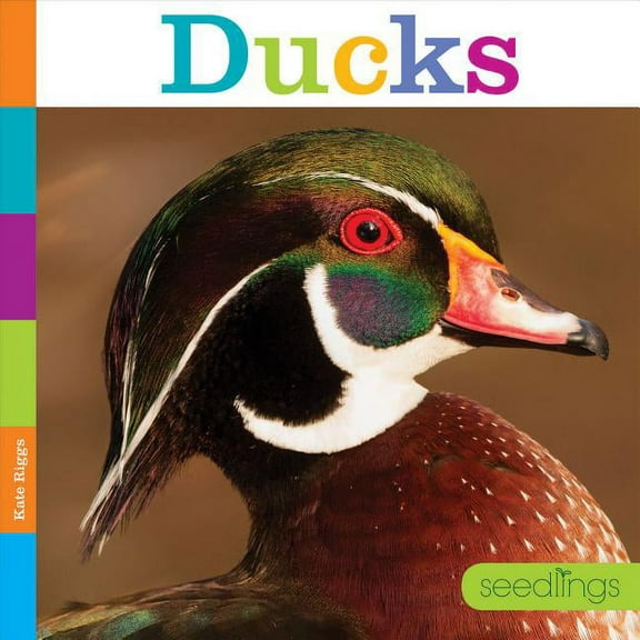Seedlings: Backyard Animals: Ducks (Paperback)