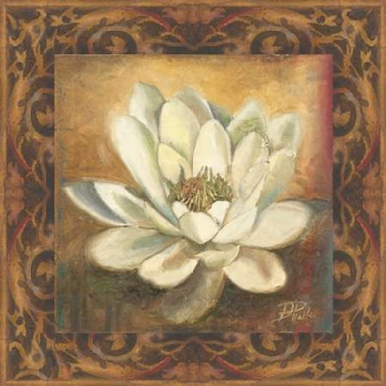 Water Lily Canvas Art - Patricia Pinto ()