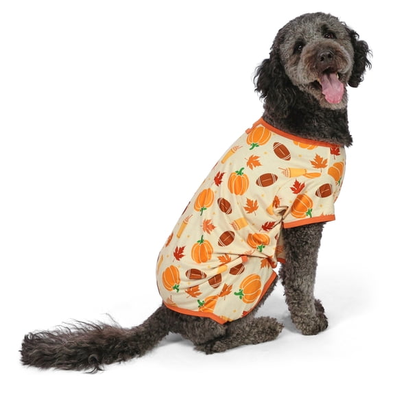 Vibrant Life Halloween Pajamas for Dogs, Pumpkins and Leaves, Orange, L