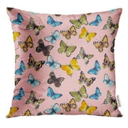 ARHOME Colorful Beauty Watercolor Butterfly Pattern Colibri Pillow Case 16x16 Inches Pillowcase