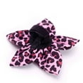 thumbnail image 2 of Leopard Flower, 2 of 3
