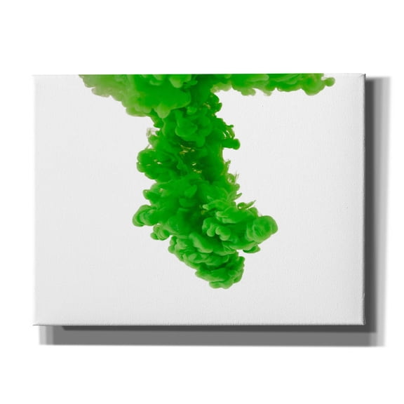 Epic Graffiti 'Absinthe' by Epic Portfolio, Canvas Wall Art, 16"x12"