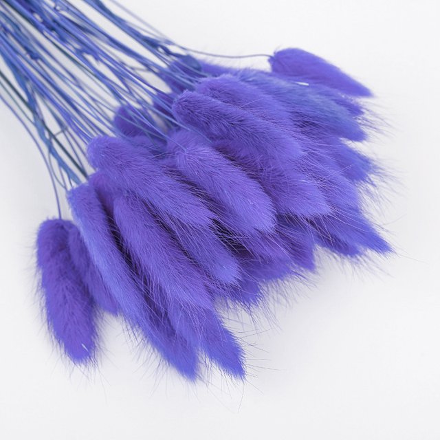CAROOTU 50 Pcs Dried Flower Grass Decoration Photography Props for Home Store Wedding