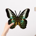 thumbnail image 1 of Xihbxyly Colgante de Madera con Forma de Mariposa, Decoración de Pared Inspirada En La Naturaleza, Diseño Rústico de Madera, Versátil para Interiores y Exteriores, Ideal para Sala de Estar, Jardín, C, 1 of 6