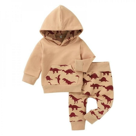 

Fantadool Baby Girls Boys Cartoon Dinosaur Hooded Sweater Children Kids Autumn Winter Round Neck Two-piece Suit