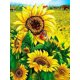 thumbnail image 1 of 30x40 cm 5D DIY Diamond Painting Full, 5D Girasol Diamond Painting, DIY Diamond Rhinestone Lienzo Punto de cruz Pintura por número para decoración de pared Adultos niños brillar Electrónica, 1 of 5