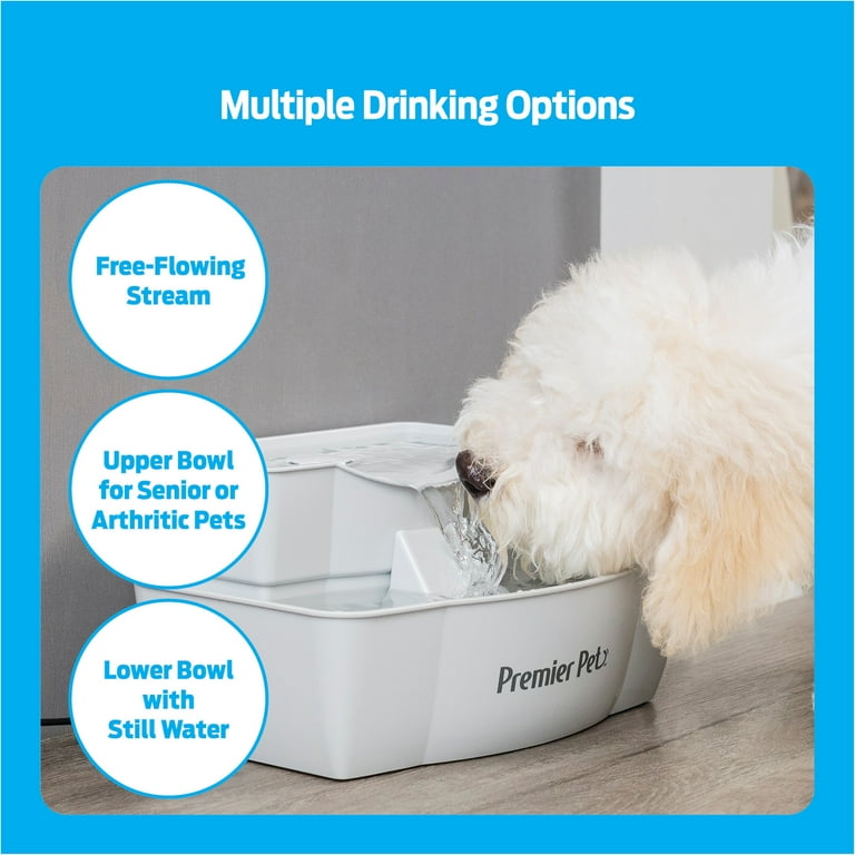 Premier pets pet clearance fountain