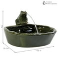 thumbnail image 4 of Sunnydaze Frog Contemporary Green Ceramic Solar Water Fountain, 4 of 11