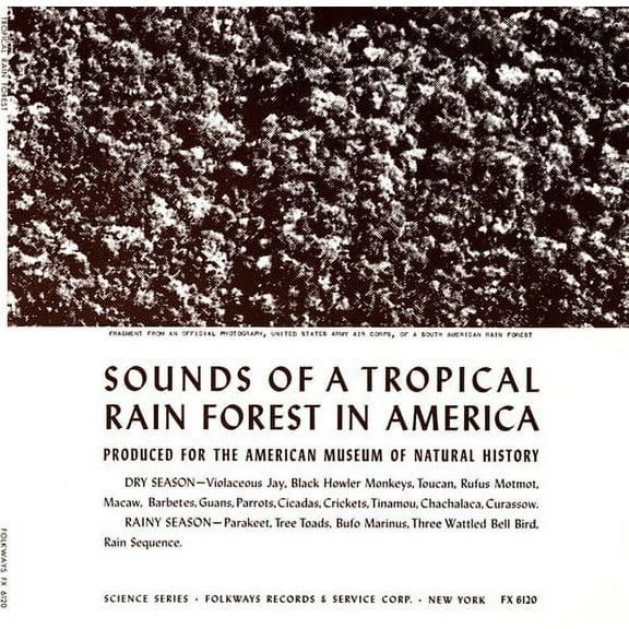 Various Artists - Tropical Rain Forest / Various - Soundtracks - CD