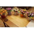 thumbnail image 3 of Set of 10 Metal Flower Pots Hanging Vase Planting Basket without Drainage Hole, Detachable Hook, Garden Fence Balcony Decoration, 3 of 5