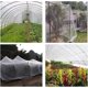 thumbnail image 5 of RHAFAYRE Malla de protección contra insectos, Redes para jardín, Red antiinsectos para plantas, Red antiinsectos para verduras, Red antiinsectos para plantas, Mosquitera Red de jardín (3 × 4 m) oso de fresa Electrónica, 5 of 5
