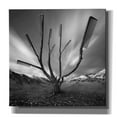 thumbnail image 1 of Epic Graffiti 'Dandruff Tree' by Dariusz Klimczak, Canvas Wall Art, 37"x37", 1 of 3