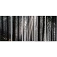 thumbnail image 2 of Sunbeams Regardant à Travers une Forêt Sombre - Impression sur Toile de Forêt, 2 of 3