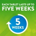 thumbnail image 4 of Scrubbing Bubbles Toilet Tablets, Continuous Clean Toilet Drop Ins, 3 Count, 4 of 13