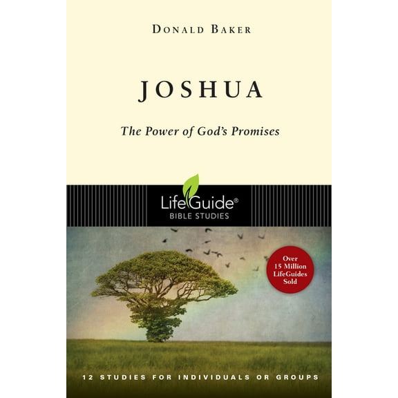 Lifeguide(r) Bible Studies Joshua: The Power of God's Promise, (Paperback)