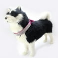 thumbnail image 3 of POINTERTECK Rhinestone Dog Collar  Cute Dazzling Sparkling Soft Suede Leather Dog Cat Rhinestone Collar Crystal  Pet Dog Puppy Collar, 3 of 5