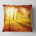 thumbnail image 2 of Designart Autumnal Park - Landscape Photography Throw Pillow - 16x16, 2 of 5
