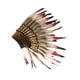 thumbnail image 5 of Tocado de plumas de jefe , diadema decorativa para carnavales, fiestas y Halloween., 5 of 8
