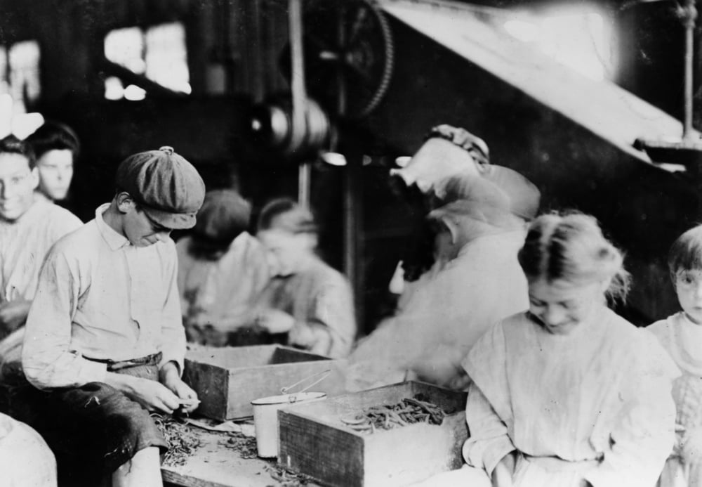 Child Labor 1909. Nchild Laborers Cutting String Beans At A Packing