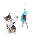 thumbnail image 3 of Paquete de 10 plumas de repuesto para juguetes interactivos para gatos, entretenimiento en interiores., 3 of 5