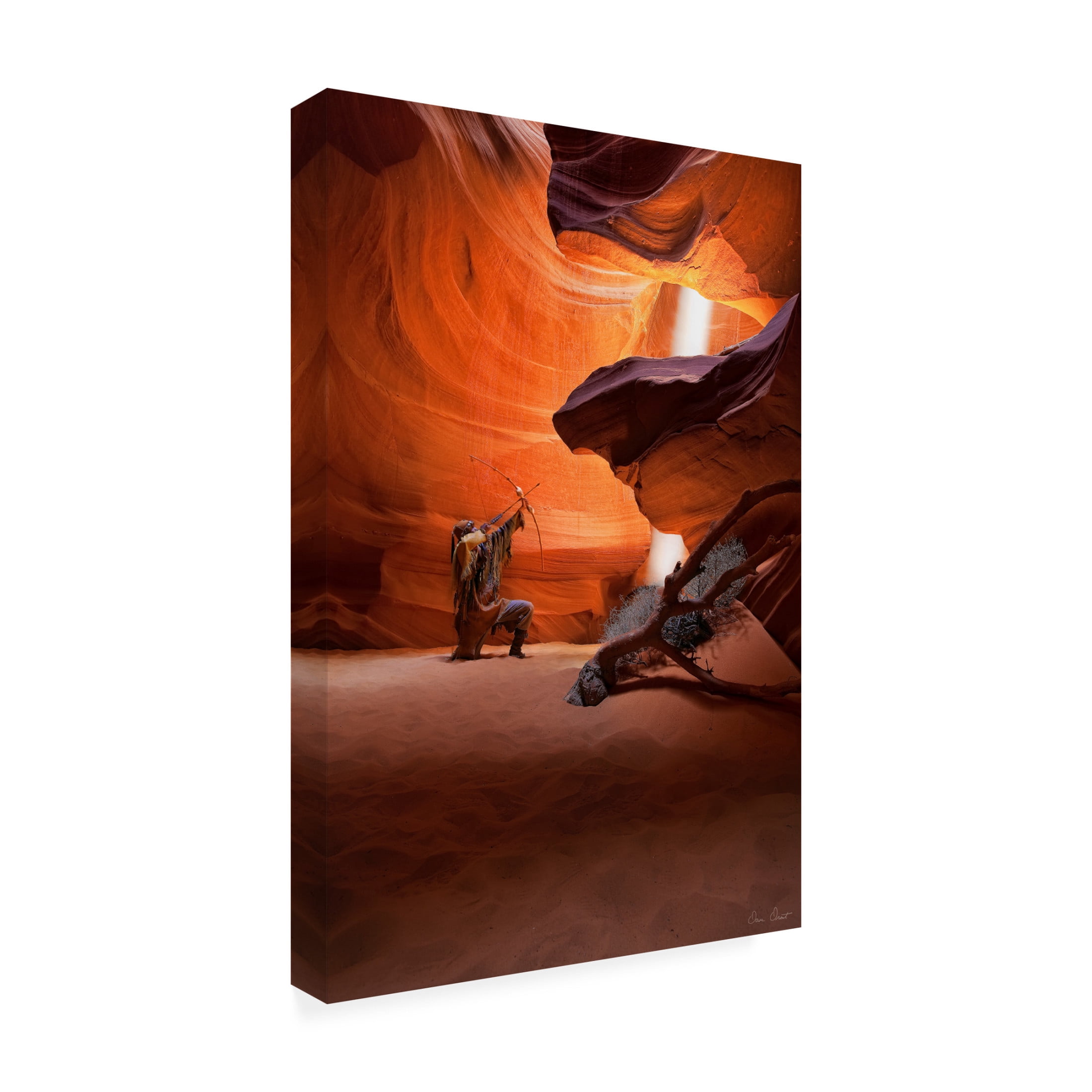 Trademark Fine Art David Drost Guiding Light II Canvas Wall Art