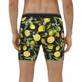 thumbnail image 4 of Salouo Lemon Fruits Flowers Leaves Pattern Men's Boxer Briefs, Soft & Breathable Underwear Elastic Waistband Briefs for Men,1-Pack, 4 of 7