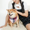 thumbnail image 5 of Daiia Heart Plaid Print Pet Scarf, Adjustable Pet Bandana, Reflective Dog Bandana with Buckle, Durable Pet Accessory Fashionable Pet Neckwear-X-Large, 5 of 7
