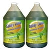 Sunny Lime Dishwash - 2 gallon case
