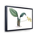 thumbnail image 3 of Designart 'Ancient Plant Life VI' Traditional Framed Canvas Wall Art Print, 3 of 5