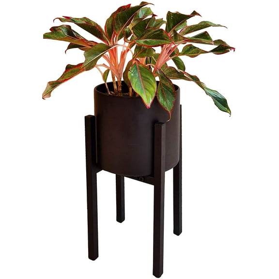 Adjustable Metal Plant Stand, Black, Quick-Adjust Planter Pot Interior Base, Dual Height Options, Powder-Coated-Steel Frame, Well-Balanced Stability