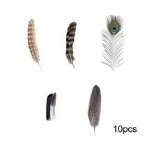 chaungfeng Natural Craft Feathers, 50-Piece Peacock Pheasant Mix, DIY Handmade Decoration Supplies, for Wedding, Halloween, Christmas, Holiday, Party Decor