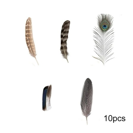 geerera Natural Craft Feathers, Peacock and Pheasant Assortment, 50-Piece Mixed Styles for DIY Projects, Wedding Decor, Holiday Crafts