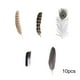 thumbnail image 2 of 50 Plumas Naturales para Manualidades, Hechas a Mano, de Pavo Real y Faisán, Estilos Variados para Halloween, Navidad, Bodas, Fiestas, Etc., 2 of 6