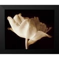 thumbnail image 2 of Britt, Charles 24x20 Black Modern Framed Museum Art Print Titled - Champagne Tulip IV, 2 of 5