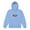 Carolina Blue, variant on United we Stand Youth heavy blend hoodie