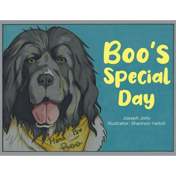 Boo's Special Day, (Paperback)