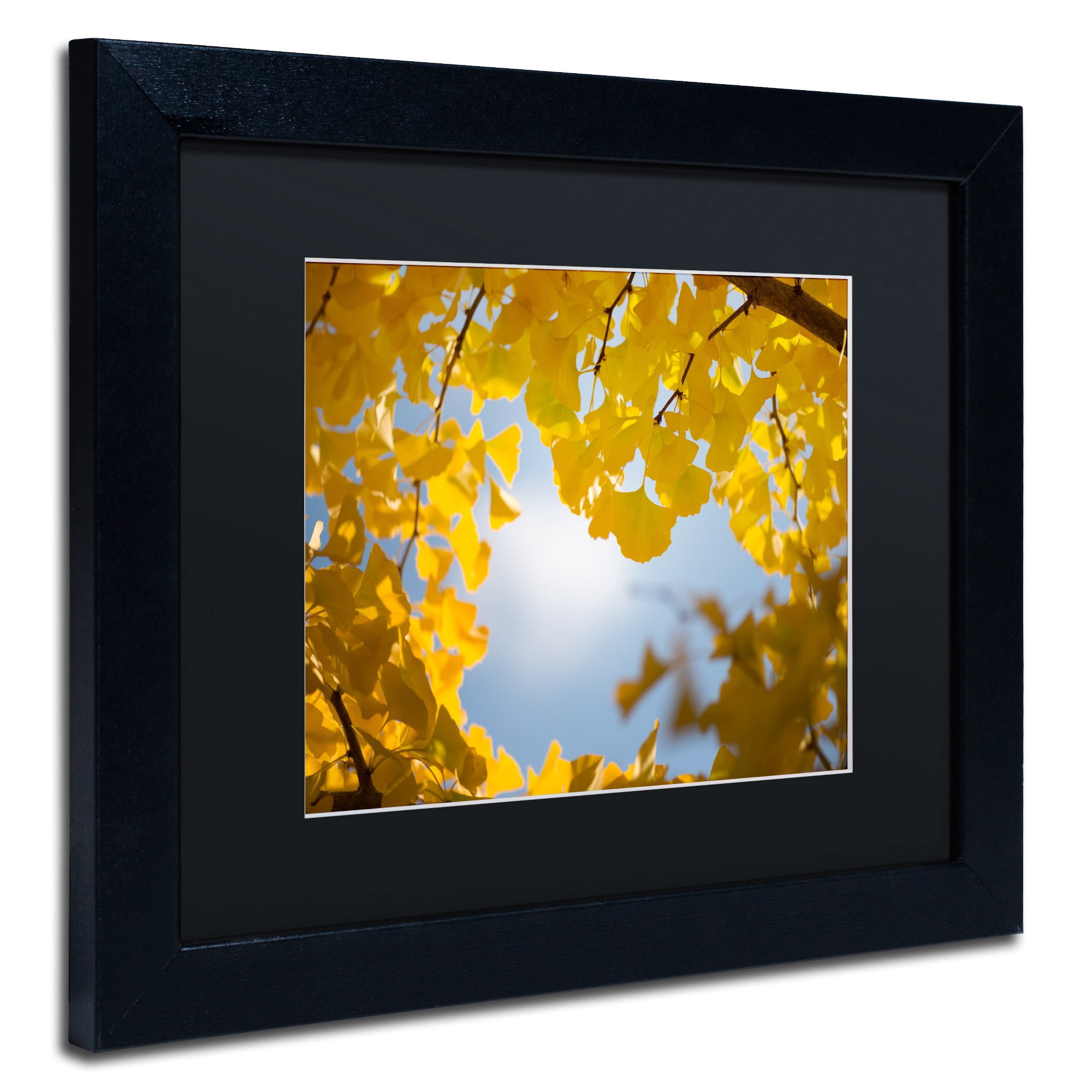 Trademark Fine Art ''Ginkgo Leaves in Autumn'' by Philippe Sainte-Laudy 16" x 20" Black Matted Black Frame (886511797086)