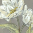 thumbnail image 2 of Goldberger, Jennifer 20x20 White Modern Wood Framed Museum Art Print Titled - Tulip on Grey, 2 of 4