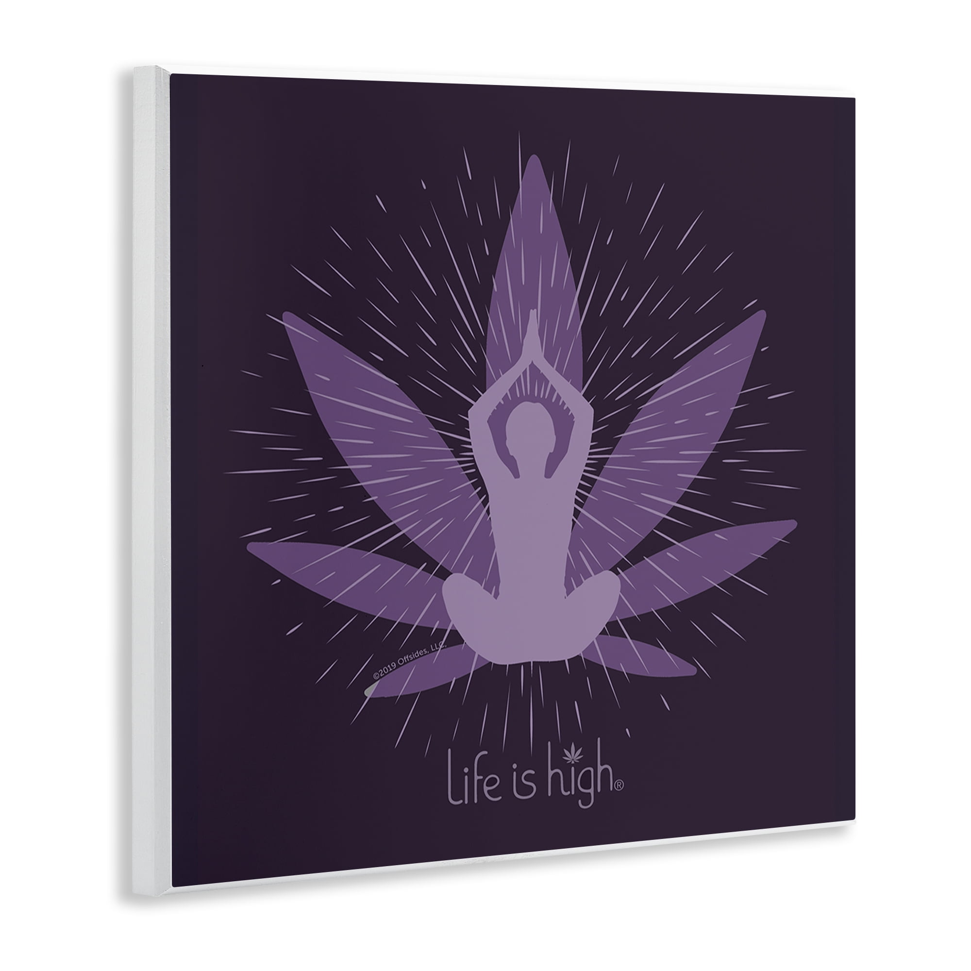 Stupell Industries Meditating Mindful Plant Novelty & Humor Painting Unframed Art Print Wall Art, 12 x 12