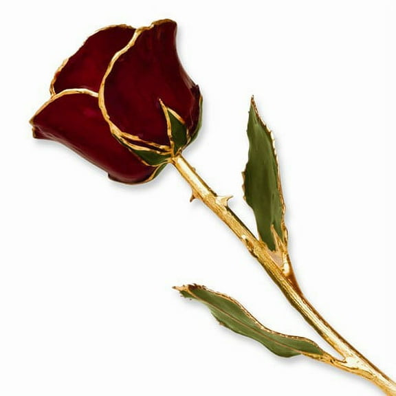 24k Gold Plated Trim Burgundy Rose