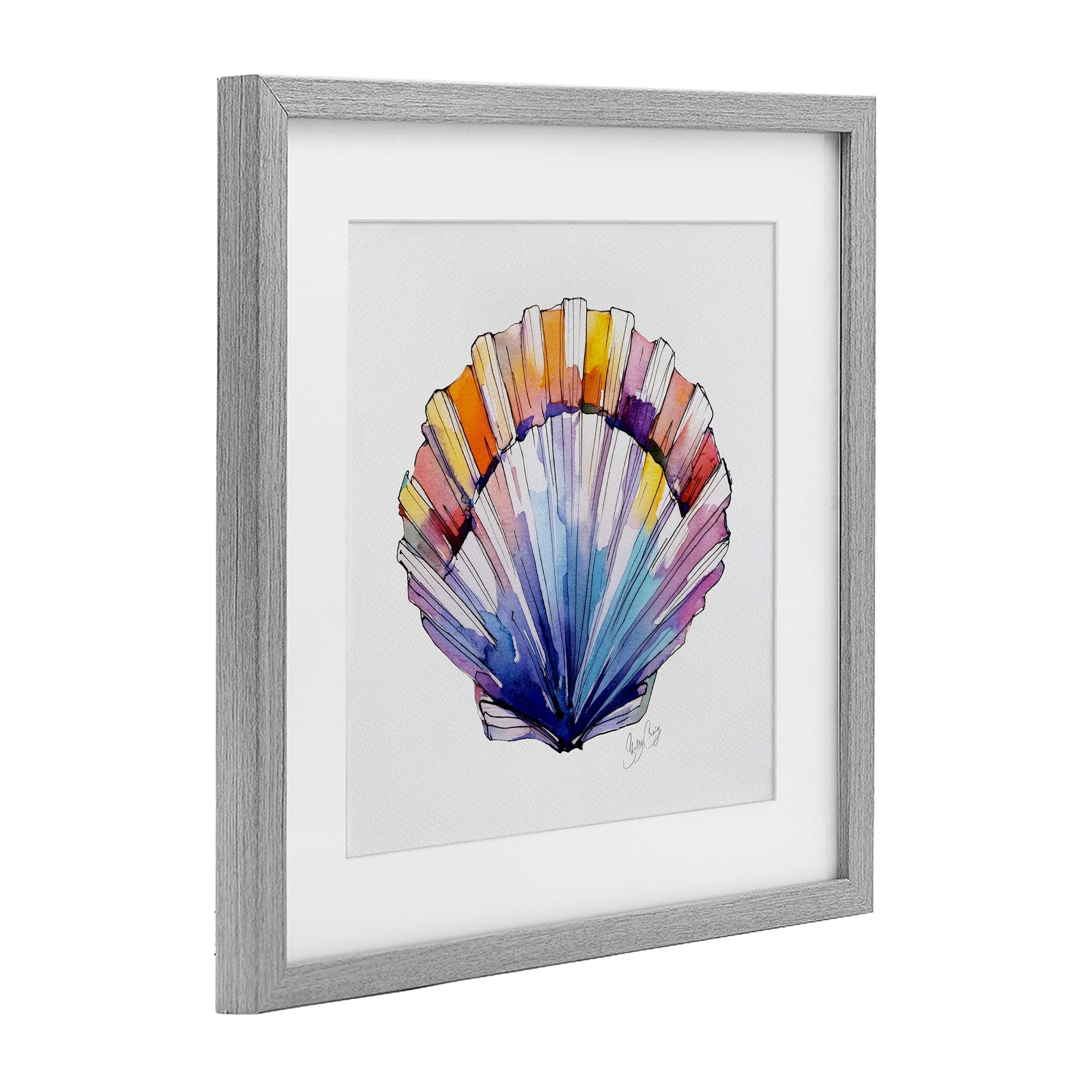 Stupell Industries Coastal Scallop Watercolor Gray Framed Print Under Glass, design by Shelly Craig
