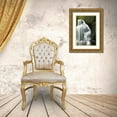 thumbnail image 3 of OBrien, Jay 23x32 Gold Ornate Wood Framed with Double Matting Museum Art Print Titled - PA, Delaware Water Gap, Dingmans Falls, 3 of 4