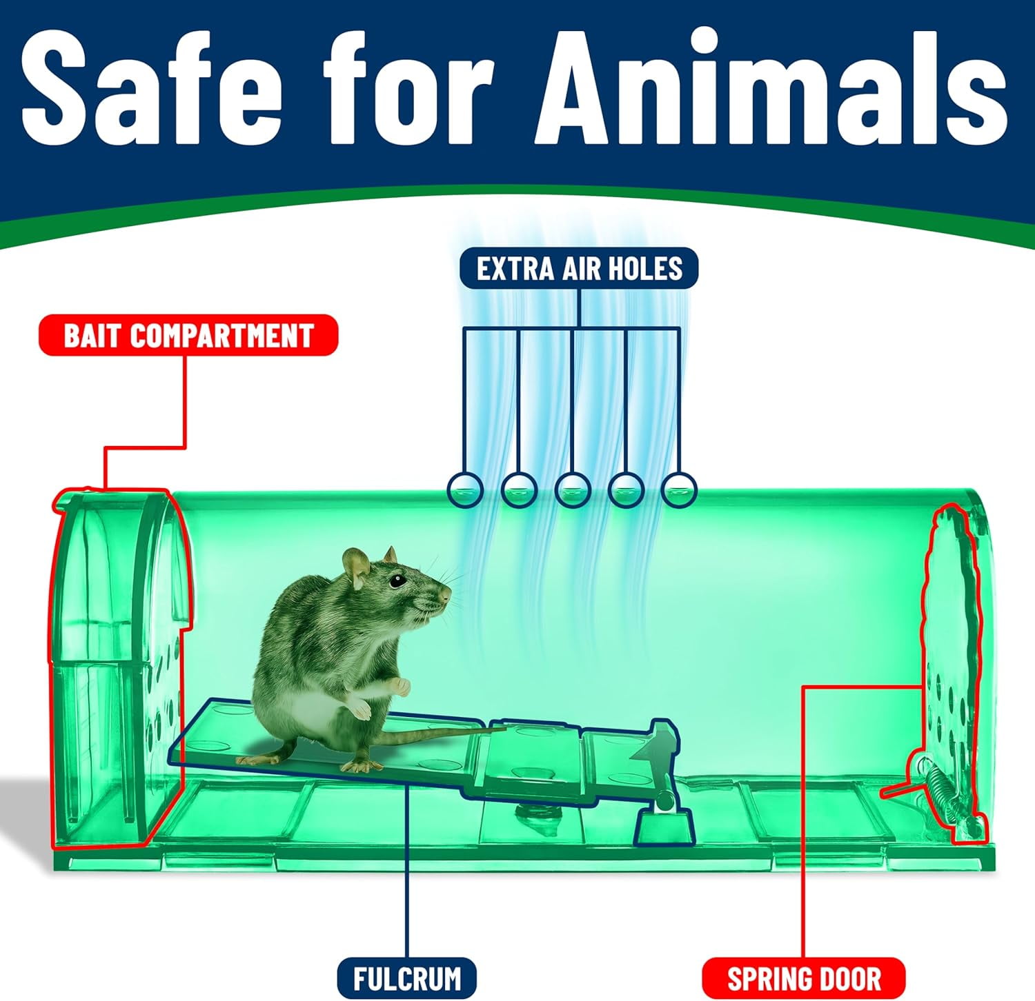Campior Humane No-Kill Mouse Trap, Large, Indoor, Child & Pet Safe, Easy to Clean, 6-Pack, Green