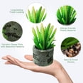 thumbnail image 3 of 2pcs simulation succulent bonsai creative home interior decoration artificial green plants - type:style1, 3 of 5