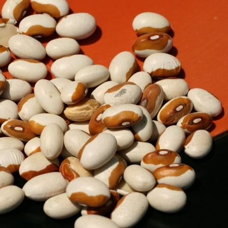 (6 Pack) Stueben Yellow Eye Beans